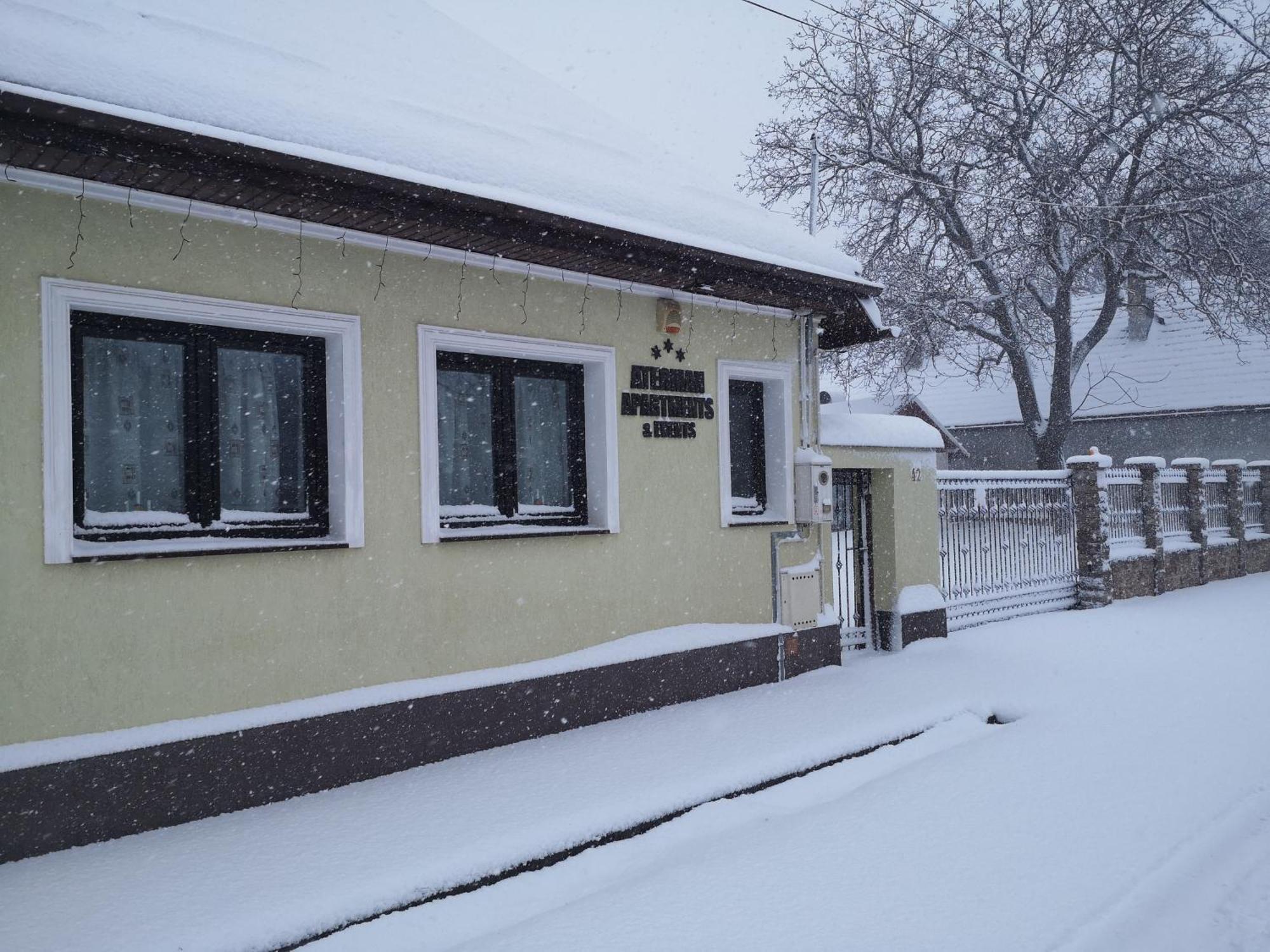 Aterman Apartment'S Sinca Veche Buitenkant foto